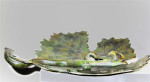 Druivenblad